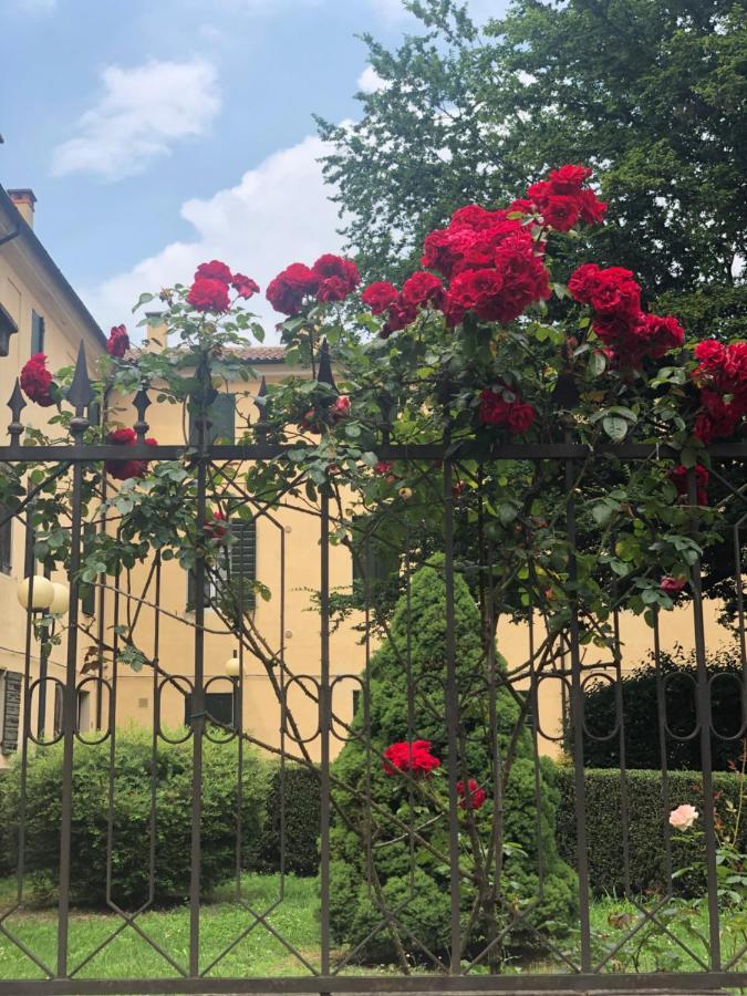Catoo Dimora Di Design Park In Palazzo Nobiliare Al Duomo Pádua Exterior foto